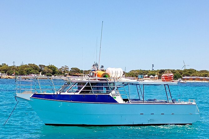 Scuba Dive The Beautiful Rottnest Island for Certified divers - The real payoff: seeing Rottnest from above and below