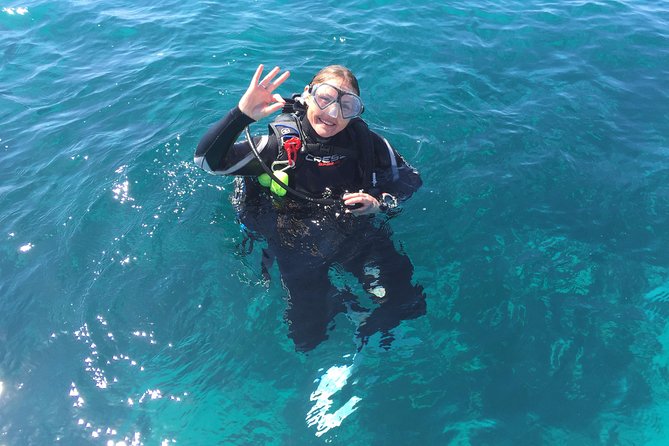 Scuba Dive The Beautiful Rottnest Island for Certified divers - Second dive at a new site: chosen for weather and diver experience