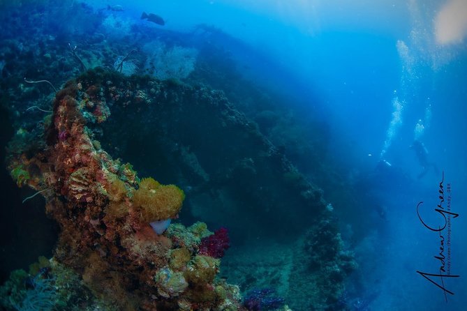 Scuba Dive the S.S. Yongala Wreck on the Great Barrier Reef. - Key Highlights You’ll Care About