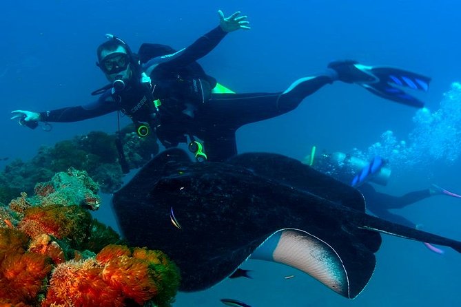 Scuba Dive the S.S. Yongala Wreck on the Great Barrier Reef. - Two Underwater Sessions on One Iconic Wreck