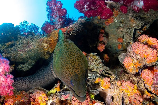 Scuba Dive the S.S. Yongala Wreck on the Great Barrier Reef. - What’s Included (and What You Can Leave at Home)