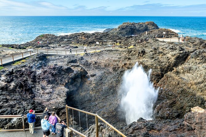 Sea Cliff Bridge, Kiama Blowhole, Beaches & Wildlife Small Group - Sea Cliff Bridge: the stop that earns the camera time