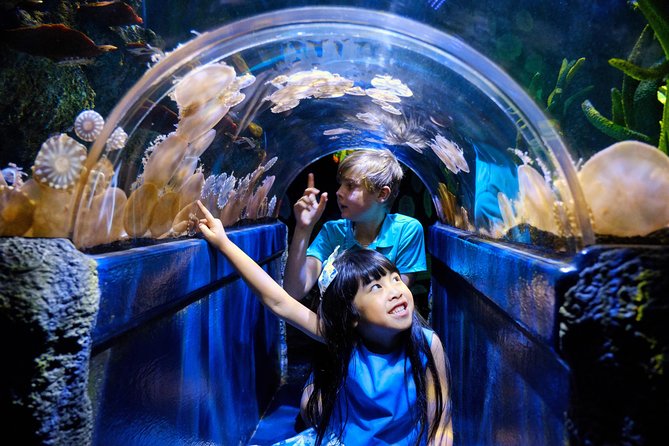 SEA LIFE Melbourne Aquarium Admission Ticket - Why SEA LIFE Melbourne’s Yarra River setting helps your day