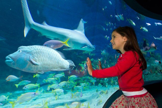 SEA LIFE Melbourne Aquarium Admission Ticket - Jellyfish, sharks, and rays: where the photos usually happen