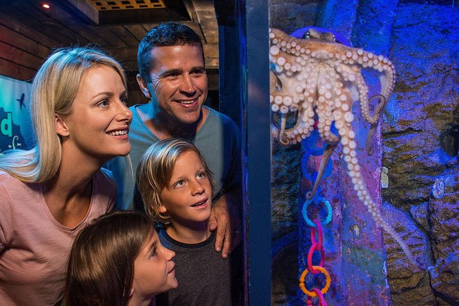 SEA LIFE Sunshine Coast Aquarium Entrance Ticket - Ticket basics: what you get in about 90 minutes
