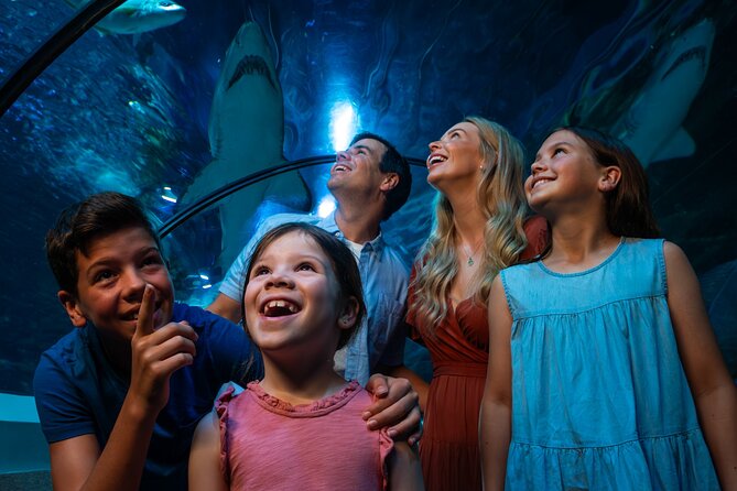 SEA LIFE Sunshine Coast Aquarium Entrance Ticket - Fresh and Freaky, plus Turtle Temple: when the aquarium slows down a touch