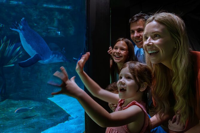 SEA LIFE Sunshine Coast Aquarium Entrance Ticket - Finding Dory and Friends: interactive adds energy to the walk