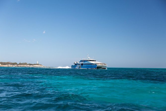 Sealink Bike & Ferry Package from Perth to Rottnest - Timing, terrain, and why wind matters more than you think