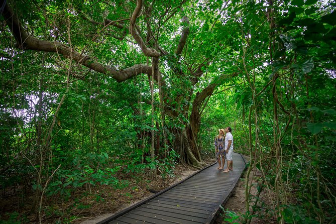 Seawalker Helmet Experience and Green Island Combo from Cairns - Value and price: is $199.39 per person a smart buy?