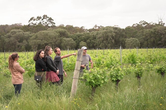 Secret Delights: Curated Wine, Coffee & Forest Experience - Yahava KoffeeWorks roasting lesson and round-the-world tasting
