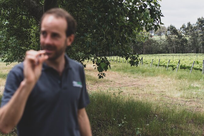 Secret Delights: Curated Wine, Coffee & Forest Experience - Boranup Karri Forest stop: orchids, birds, and karri calm