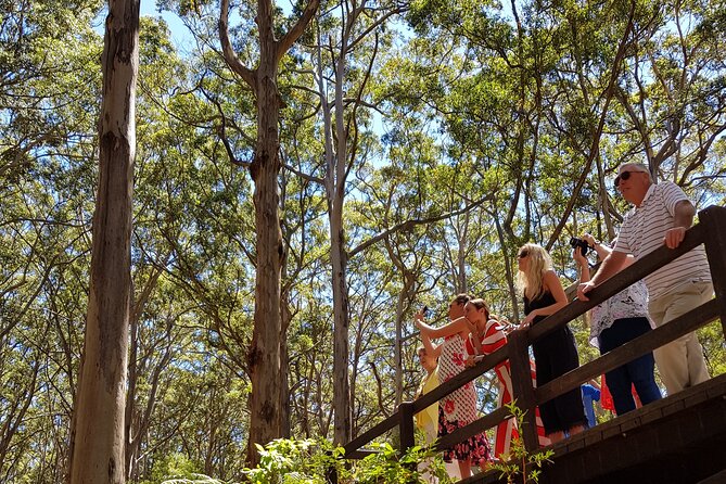 Secret Delights: Curated Wine, Coffee & Forest Experience - Redgate Wines: pioneer storytelling and vineyard-side perspective