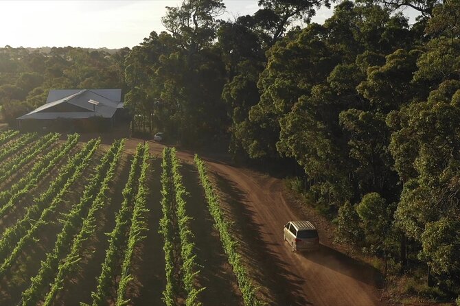 Secret Delights: Curated Wine, Coffee & Forest Experience - Price and what you truly get for $121.93