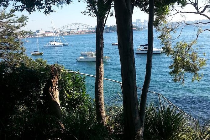 Secret Sydney: Hidden Beaches and Gardens - Snacks, Picnic Style, and a Local Pace That Doesn’t Rush