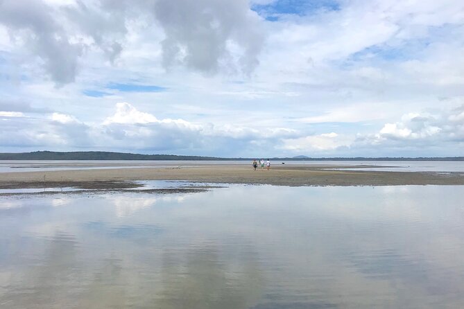 Secrets of Noosa Tour with Oceanview Lunch, Nature & Noosa River Ferry - Comfort on the Premium Bus: Reclining Seats and USB Ports