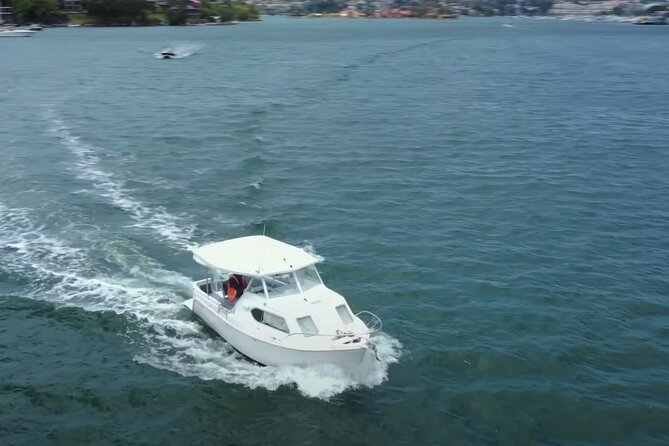 Self Drive Boat Hire Sydney Harbour (No license required) - Who Coral is perfect for (and who should think twice)
