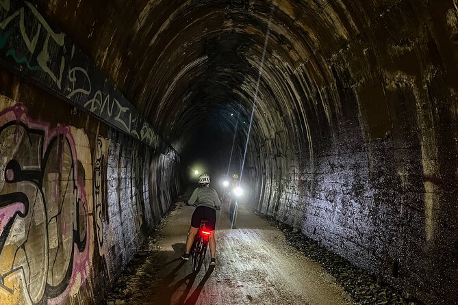 Self Guide E Bike Tour - Husk Distillery, Rainforest & Rail Trail - Key highlights you’ll feel on the day