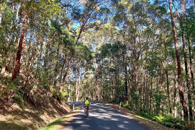 Self Guide E Bike Tour - Husk Distillery, Rainforest & Rail Trail - The rail trail wow factor: tunnels, bridges, and that 524m moment