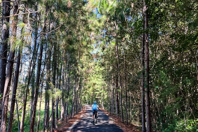 Self Guide E Bike Tour - Husk Distillery, Rainforest & Rail Trail - Lunch and Murwillumbah energy: end of the rail trail