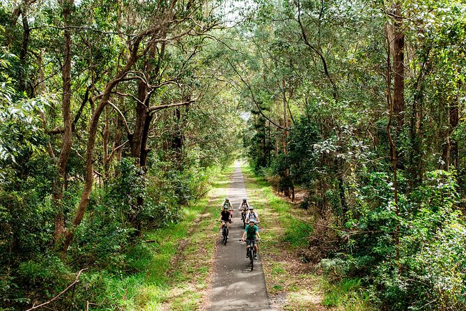 Self Guide E Bike Tour - Husk Distillery, Rainforest & Rail Trail - Rainforest climbs to Bilambil and the descent into Husk Farm Distillery