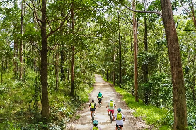 Self Guided E Bike Tour - Unicorn Falls, Rainforest & Rail Trail - Key highlights worth planning for