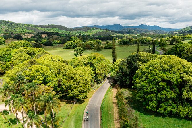 Self Guided E Bike Tour - Unicorn Falls, Rainforest & Rail Trail - Mooball to Billinudgel: the setup that keeps the day fun