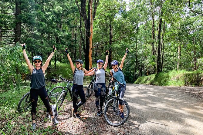 Self Guided E Bike Tour - Unicorn Falls, Rainforest & Rail Trail - Main Arm and The Pocket: small-town snacks and countryside cruising