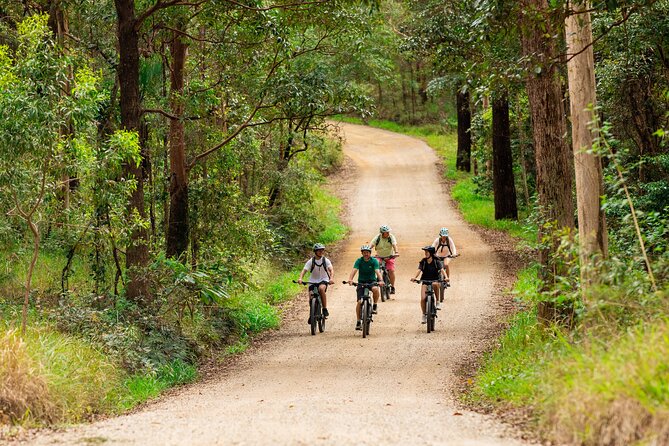 Self Guided E Bike Tour - Unicorn Falls, Rainforest & Rail Trail - Gravel roads and the downhill section: how to ride smart on an adventure day
