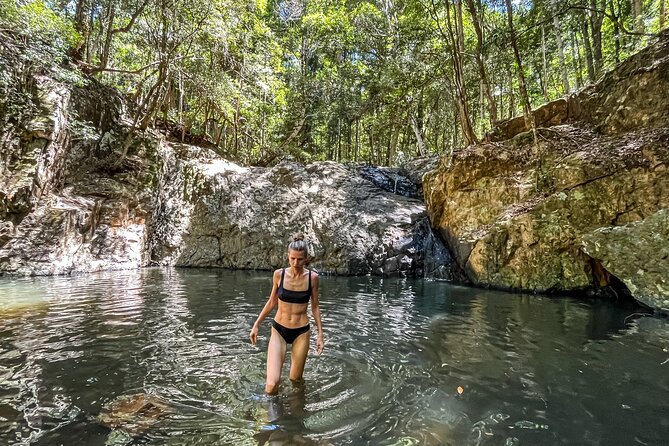 Self Guided E Bike Tour - Unicorn Falls, Rainforest & Rail Trail - Uki break: quirky food fuel before the climb