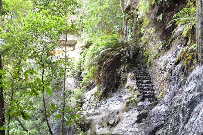 Self Guided Electric Bicycle Tour of Bundanoon - The Bundanoon story stops that make the ride feel personal