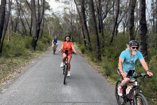 Self Guided Electric Bicycle Tour of Bundanoon - Wheel Explorer options: choosing your effort level