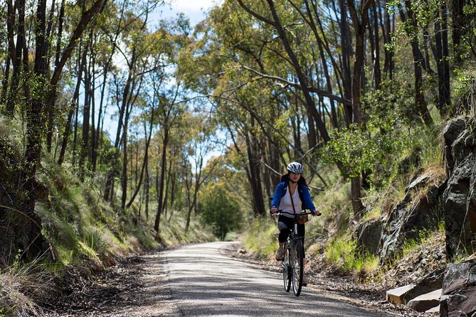 Self-Guided Gourmet Culinary Cycling Day Tour From Beechworth - First Pedal: Starting at Old Beechworth Gaol