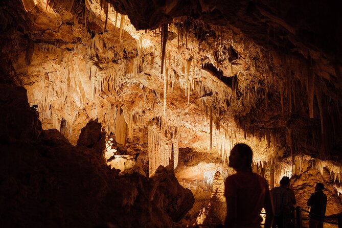 Self-Guided Ngilgi Cave Ancient Lands Experience - Inside the cave: how the self-guided loop works