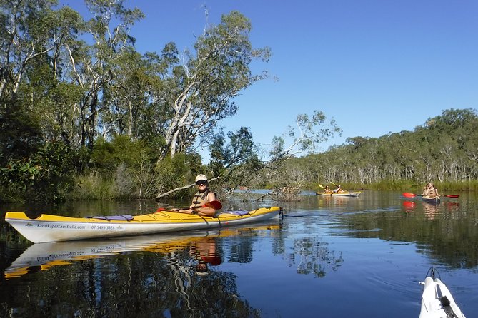 Self-Guided Noosa Everglades Kayak Tour - Key highlights before you go