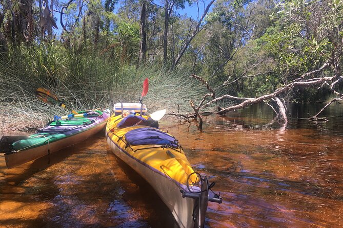 Self-Guided Noosa Everglades Kayak Tour - What to bring: the comfort checklist that keeps your paddle fun
