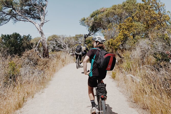 Self-Guided Point Nepean National Park Bike Hire - The ride to Observatory Point: coastline, dolphins, and echidnas