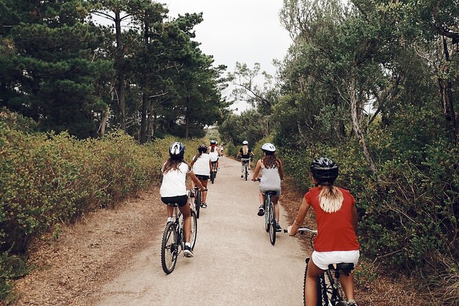 Self-Guided Point Nepean National Park Bike Hire - Price and timing: is $28.69 per person actually good value?