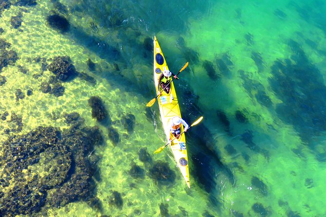 Self-Guided Sydney Middle Harbour Kayak 3 Hour Tour by Double Kayak - Getting set up at Mosman: how to start smoothly