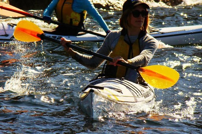 Self-Guided Sydney Middle Harbour Kayak 3 Hour Tour by Single Kayak - The deluxe sea kayak setup: what you’re actually using