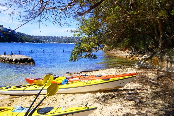 Self-Guided Sydney Middle Harbour Kayak 3 Hour Tour by Single Kayak - Family rules: kids, teens, and the extra pairing requirements