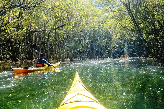 Self-Guided Sydney Middle Harbour Kayak 3 Hour Tour by Single Kayak - Self-guided in real life: how the route choice works