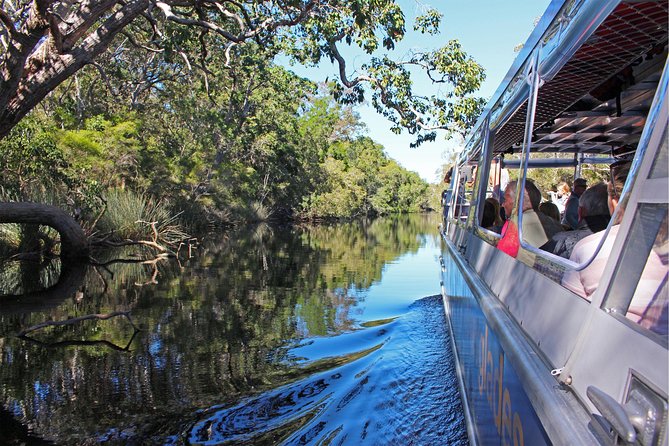 Serenity Cruise to Australia's Everglades - What 2.5 hours on the Noosa River actually feels like