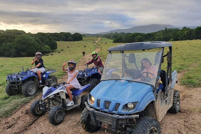 Shared Shuttle Return Transfers (ex Cairns) Transfers Only - Who this tour fits best (and who might want a different day)