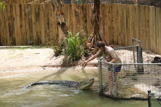 Shared Shuttle Return Transfers (ex Cairns) Transfers Only - Hartley’s Crocodile Adventures: your 30-minute lagoon boat cruise