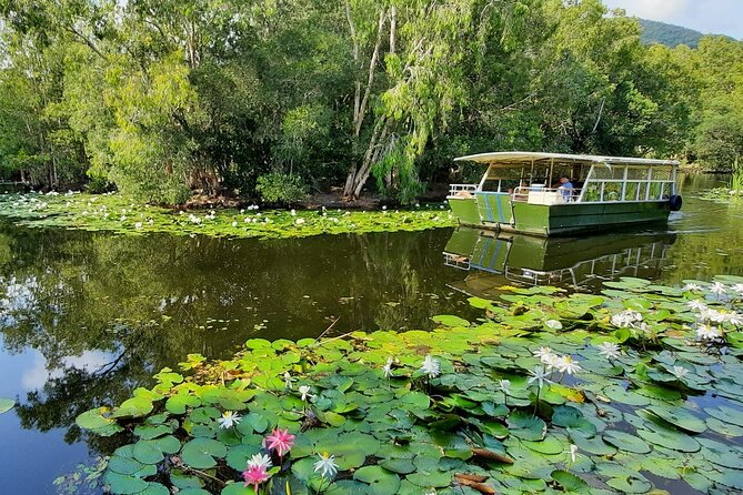 Shared Shuttle Return Transfers (ex Port Douglas) Transfers Only - Hartley’s Crocodile Adventures: what you’re really buying