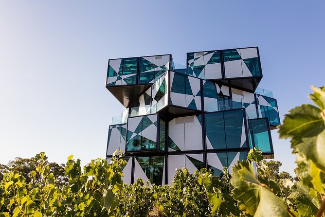 Shared Wine Taste Experience The Dead Arm Distinction - Shared wine taste, self-guided: how the 30 minutes actually feels
