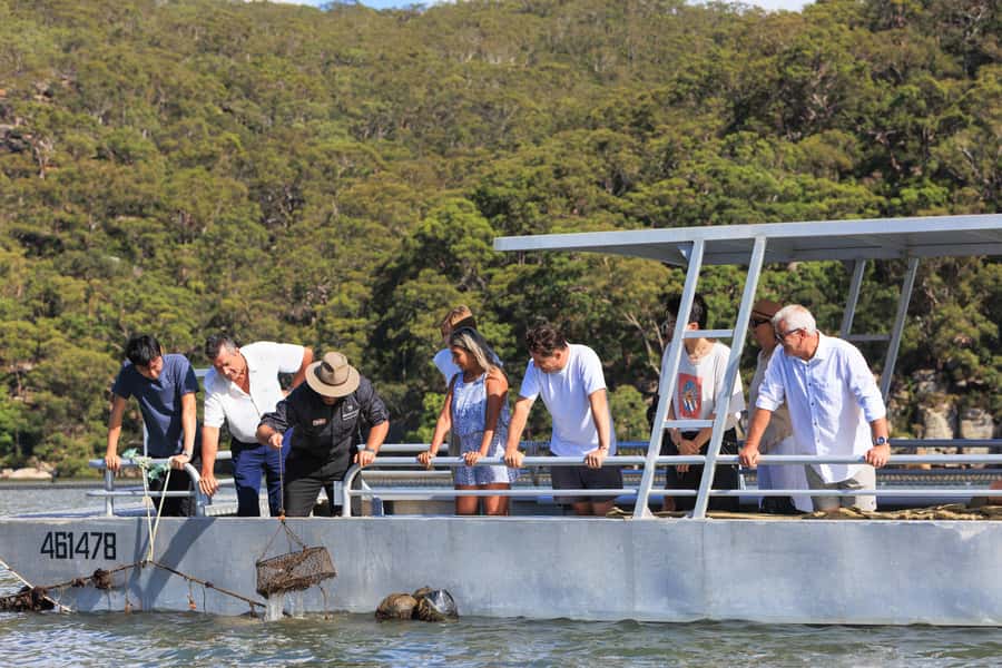 Shell to Showroom - Sydney's only Pearl Farm Experience - Broken Bay Pearl Farm: the Pearl Room and the Akoya lesson