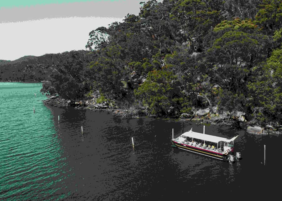 Shell to Showroom - Sydney's only Pearl Farm Experience - Oyster leases on the Hawkesbury River cruise