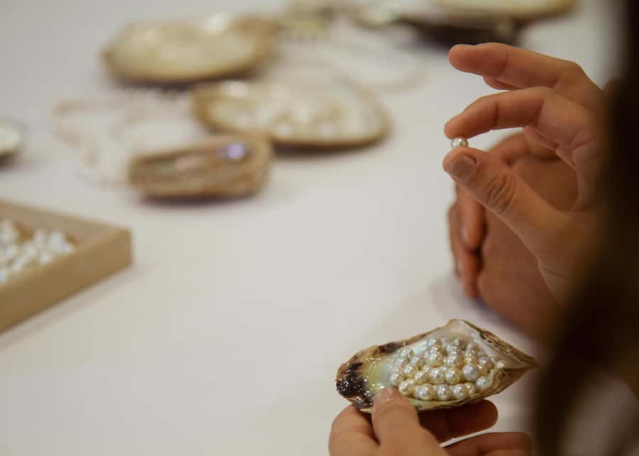 Shell to Showroom - Sydney's only Pearl Farm Experience - Price and value: what $70 buys you (and what it doesn’t)