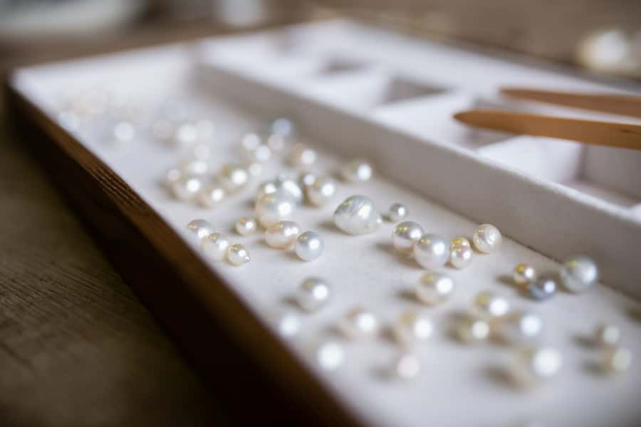 Shell to Showroom - Sydney's only Pearl Farm Experience - What the 2-hour schedule feels like (and why it works)